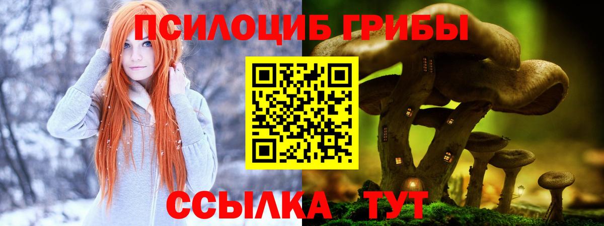 Галлюциногенные грибы Magic Shrooms  Вход с VPN  Домодедово 